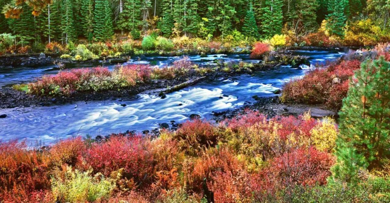 Seventh Mountain Resort Deschutes River Woods Екстериор снимка